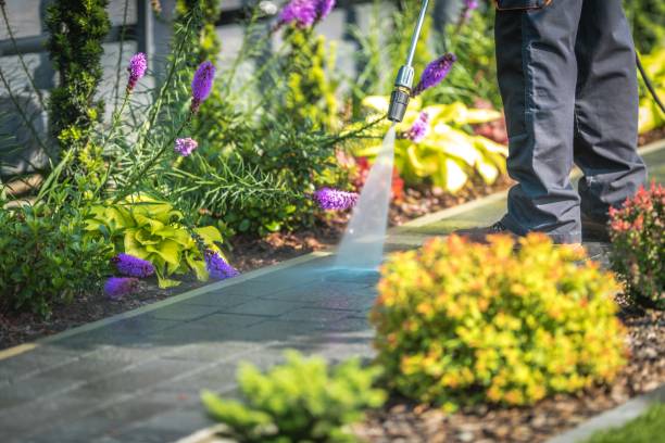 Reliable Paxton, IL Pressure Washing Services Solutions