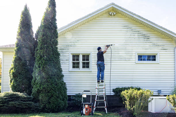 Best Concrete Surface Cleaning in Paxton, IL
